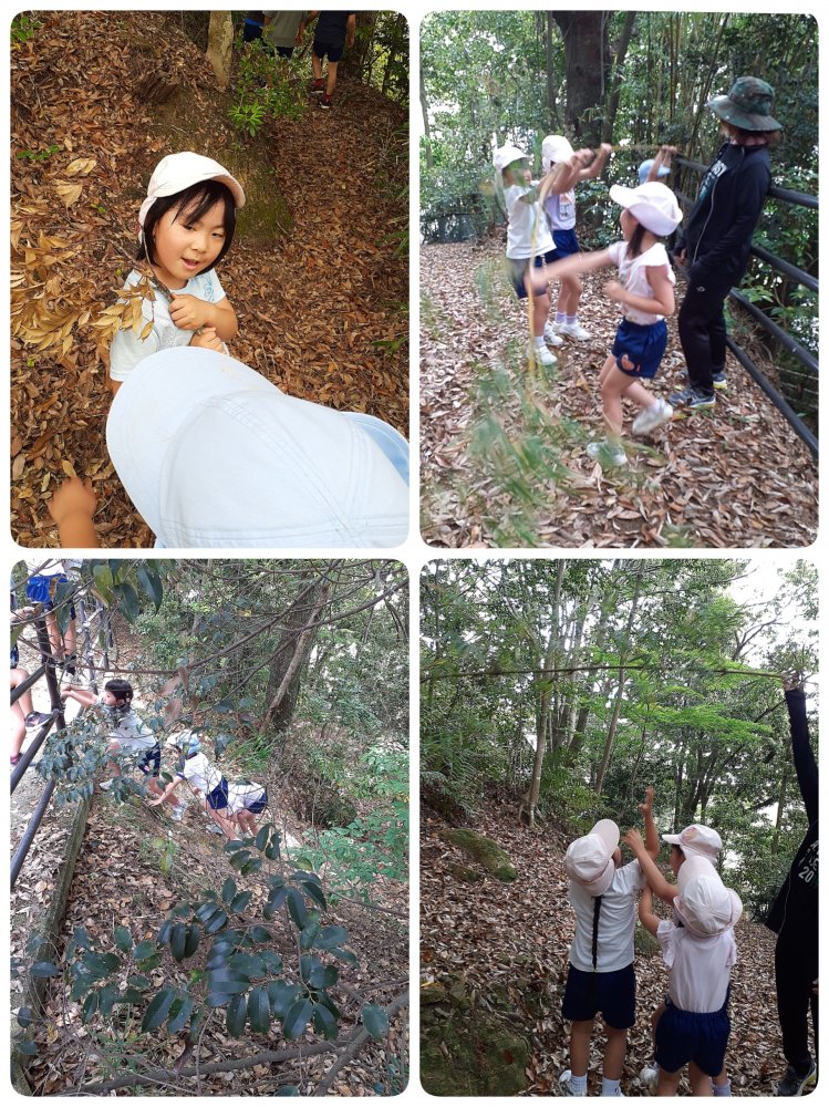 20220510204100.jpg 20220510204100.jpg