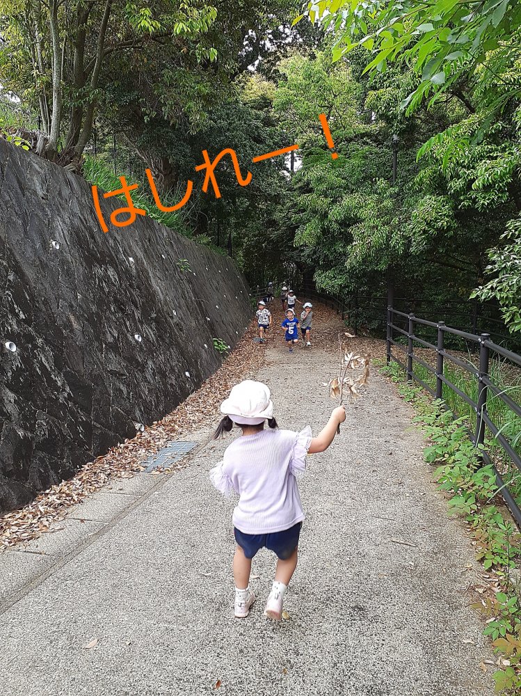 20220510204229.jpg 20220510204229.jpg