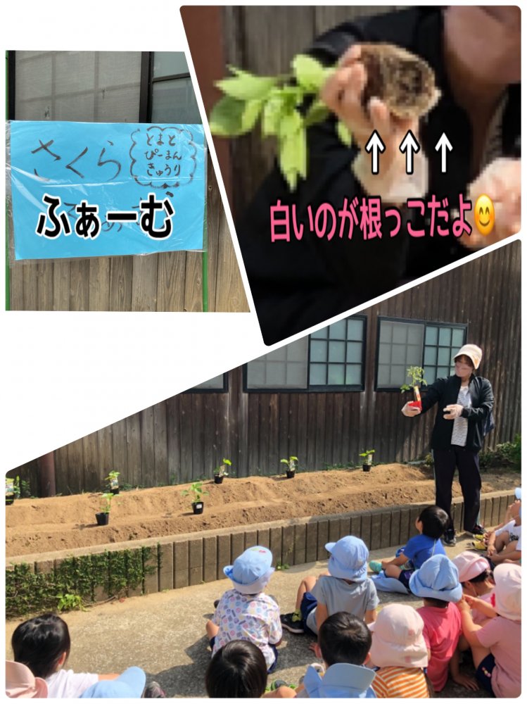 20220515185415.jpeg 20220515185415.jpeg