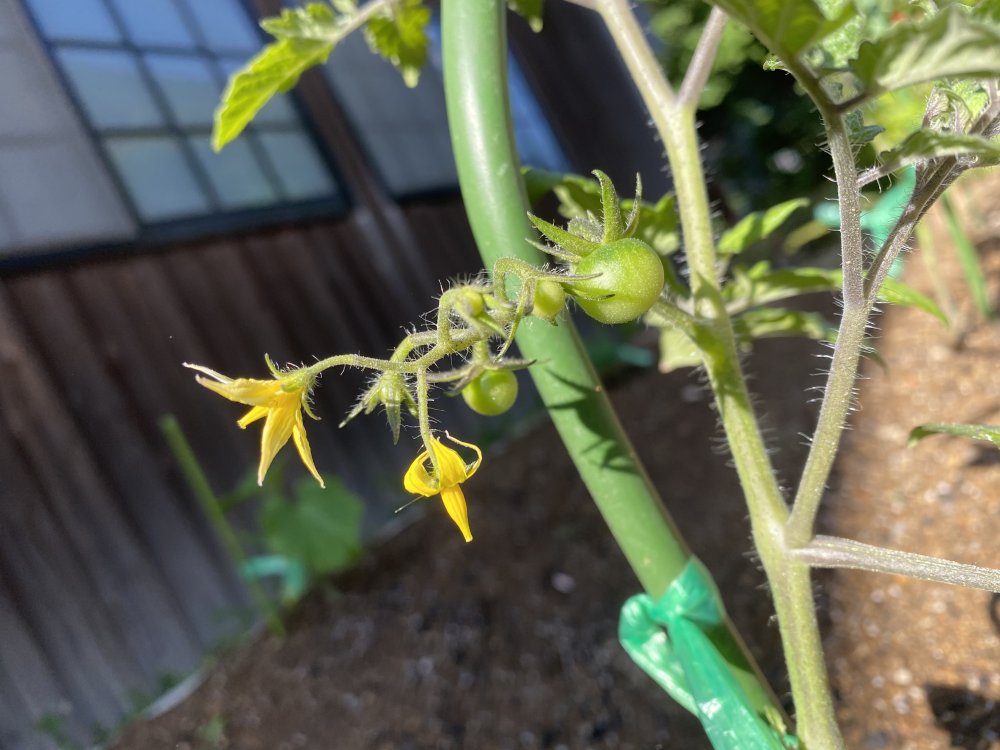 20220515185416.jpeg 20220515185416.jpeg