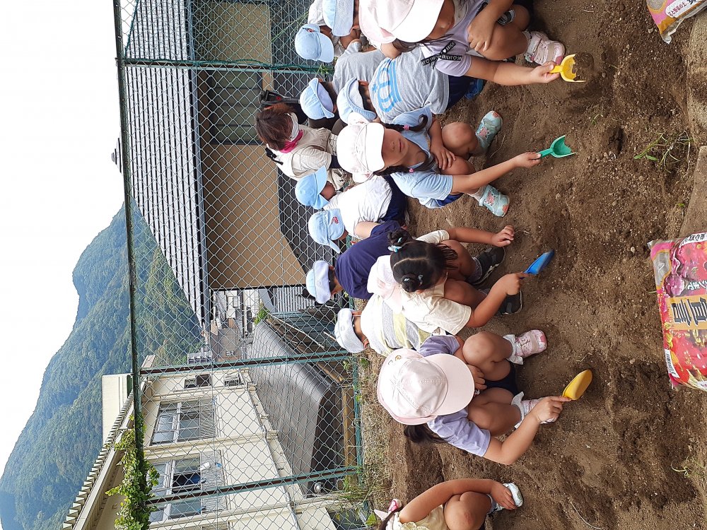 20220520200952.jpg 20220520200952.jpg