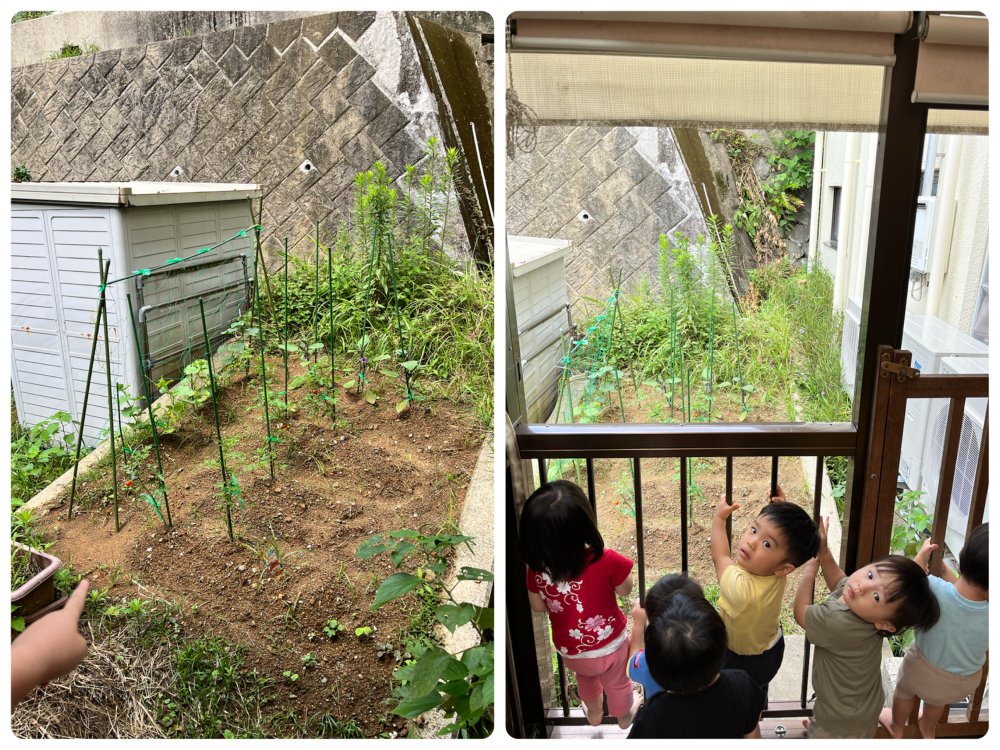 20220610141240.jpeg 20220610141240.jpeg