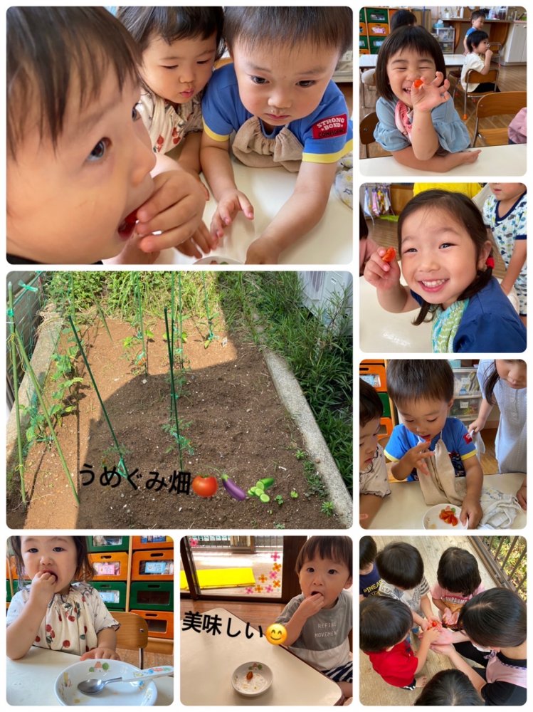 20220610184723.jpeg 20220610184723.jpeg