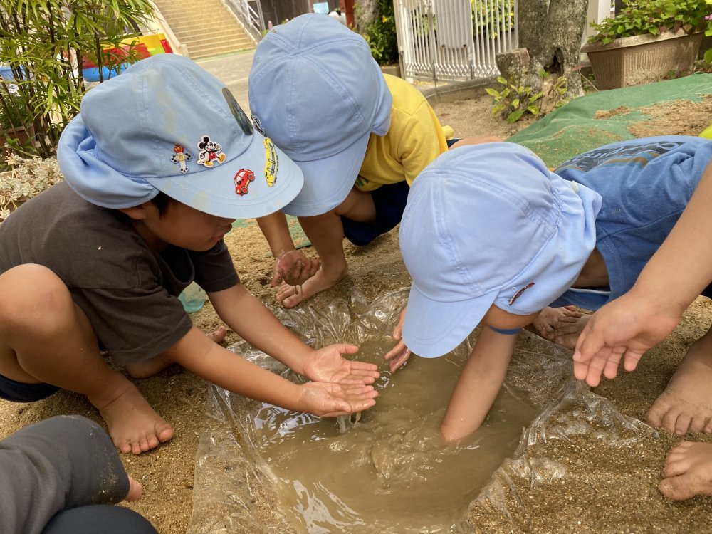 20220610214115.jpeg 20220610214115.jpeg