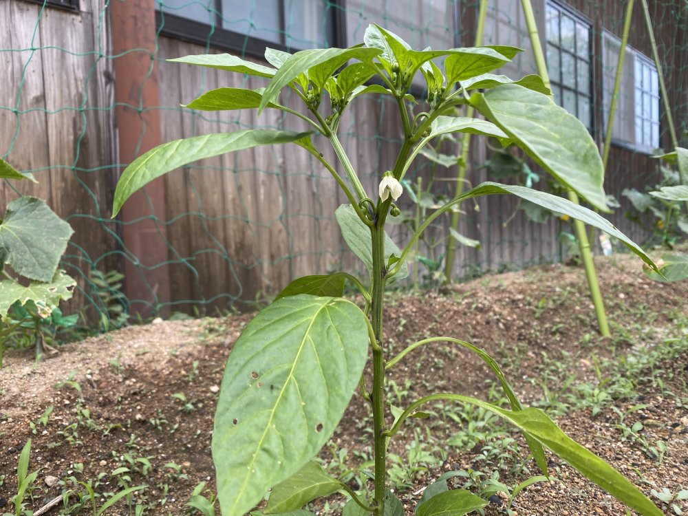 20220610220423.jpeg 20220610220423.jpeg