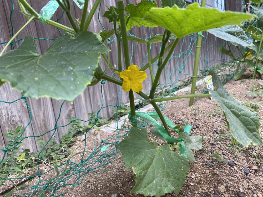 20220610220424.jpeg 20220610220424.jpeg