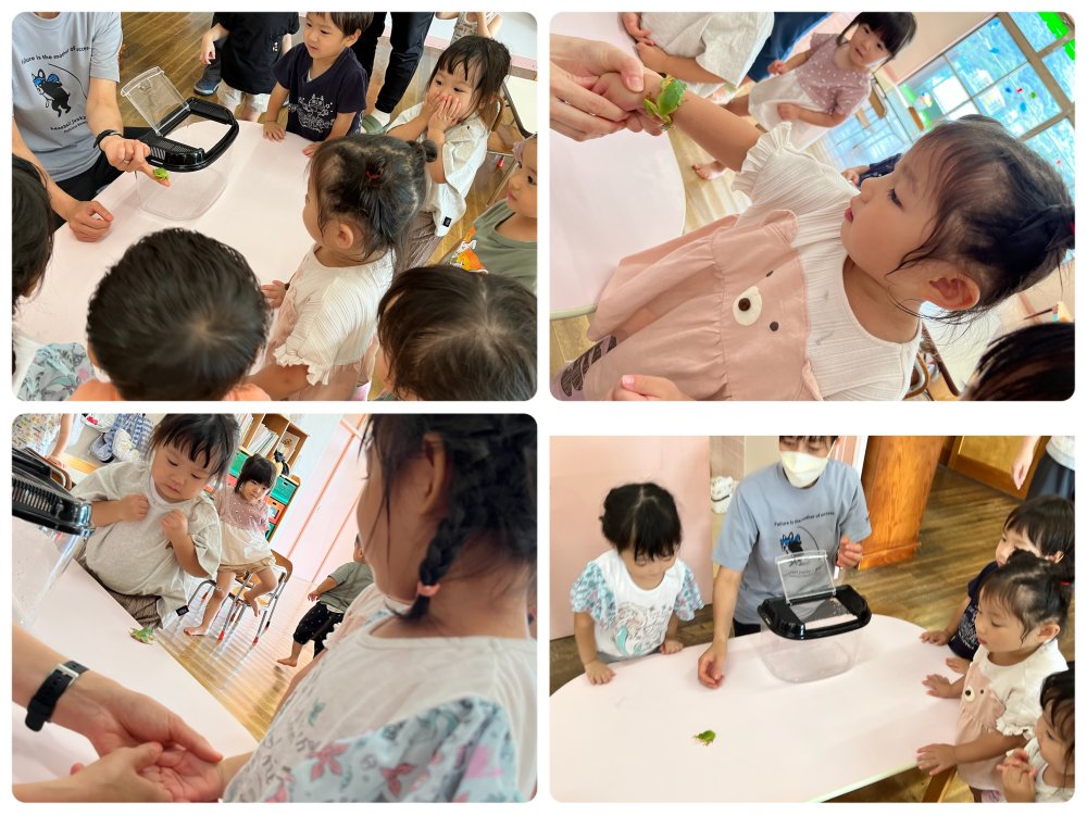 20220905131758.jpeg 20220905131758.jpeg