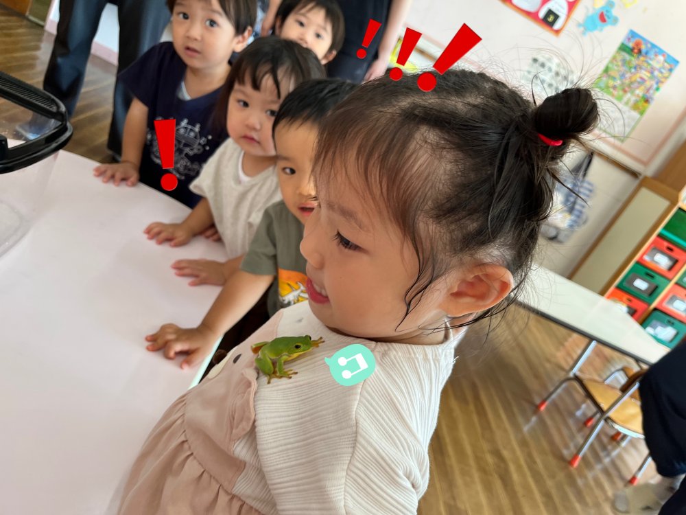 20220905131800.jpeg 20220905131800.jpeg