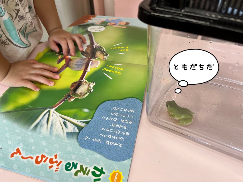 20220905131801.jpeg 20220905131801.jpeg