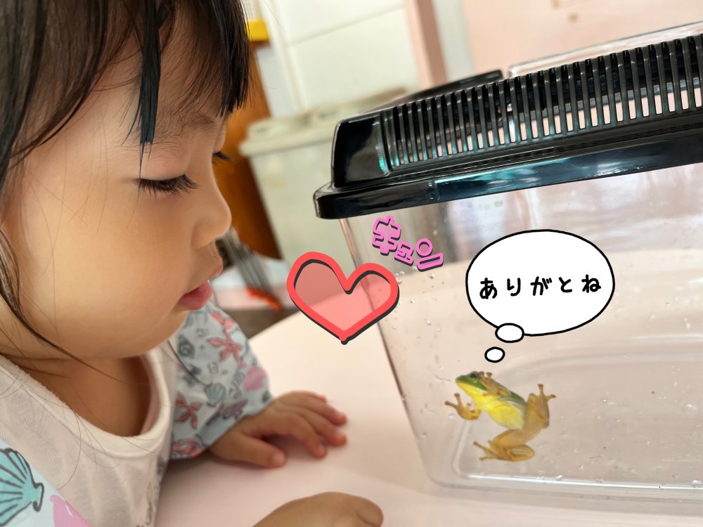 20220905140010.jpeg 20220905140010.jpeg