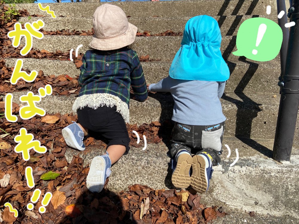 20221029105649.jpeg 20221029105649.jpeg