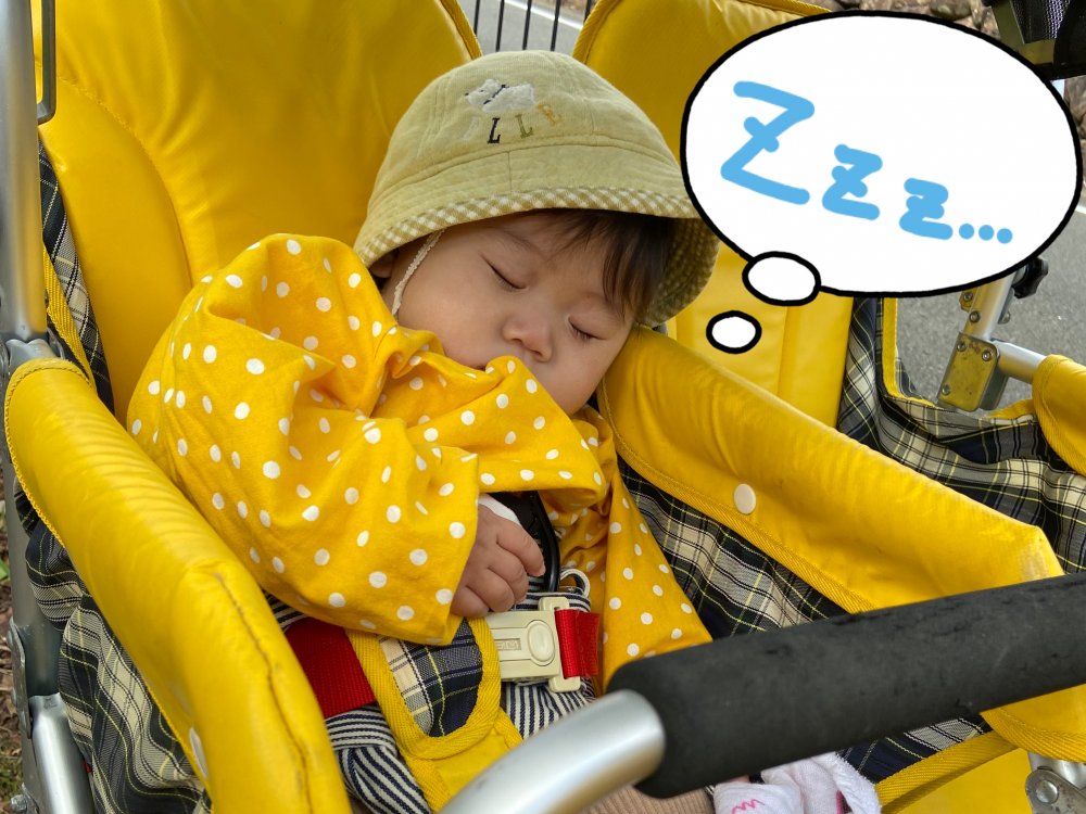 20221029105653.jpeg 20221029105653.jpeg