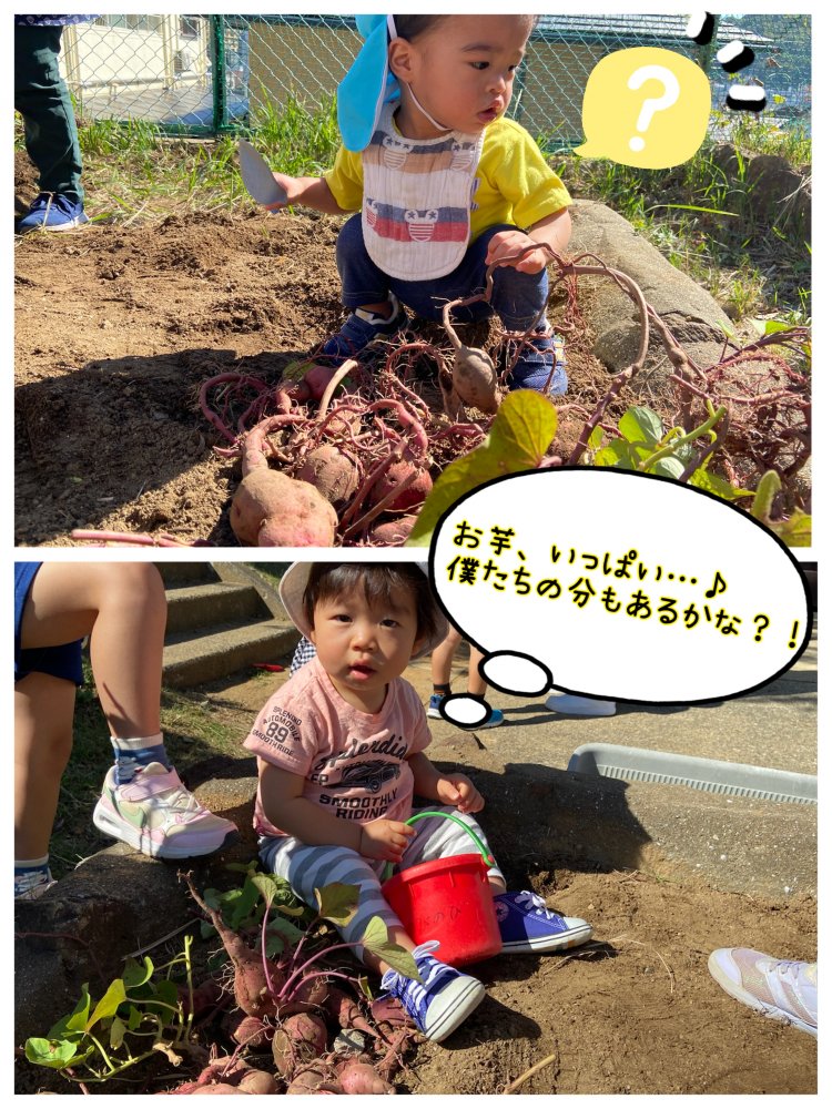 20221029105838.jpeg 20221029105838.jpeg