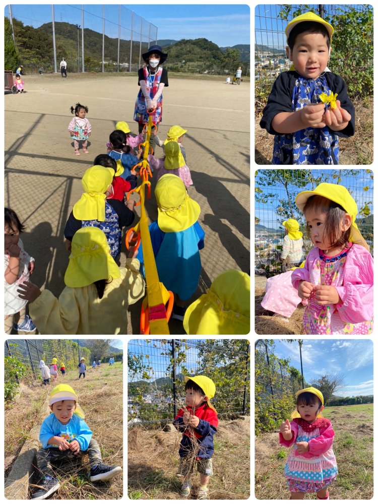 20221030120413.jpeg 20221030120413.jpeg