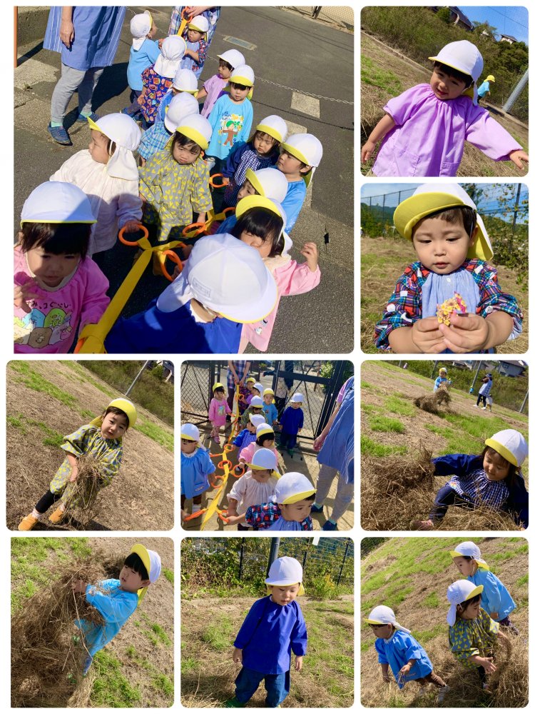 20221030120525.jpeg 20221030120525.jpeg