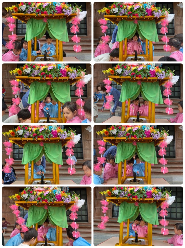 20230407173534.jpeg 20230407173534.jpeg