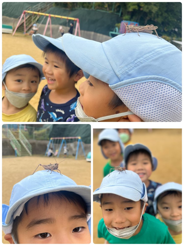 20231228180355.jpeg 20231228180355.jpeg