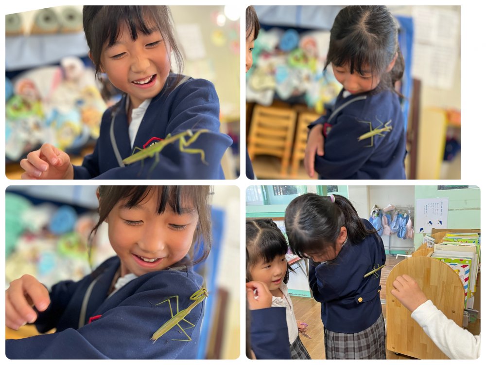 20231228180356.jpeg 20231228180356.jpeg