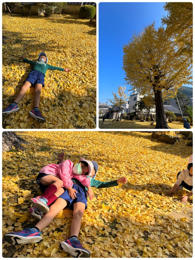 20231228180523.jpeg 20231228180523.jpeg