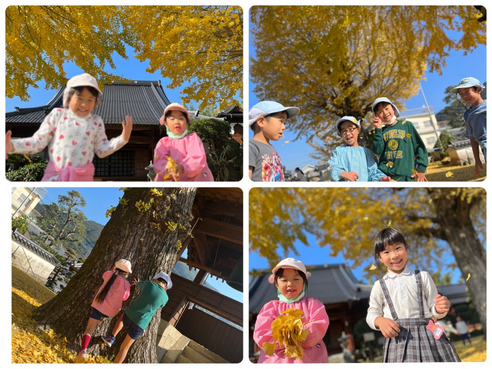 20231228180525.jpeg 20231228180525.jpeg