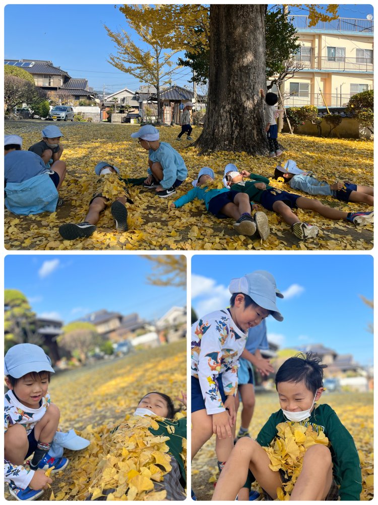 20231228180630.jpeg 20231228180630.jpeg