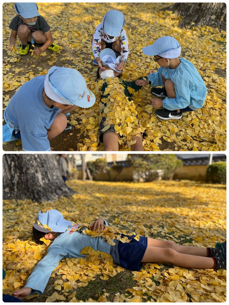 20231228180631.jpeg 20231228180631.jpeg