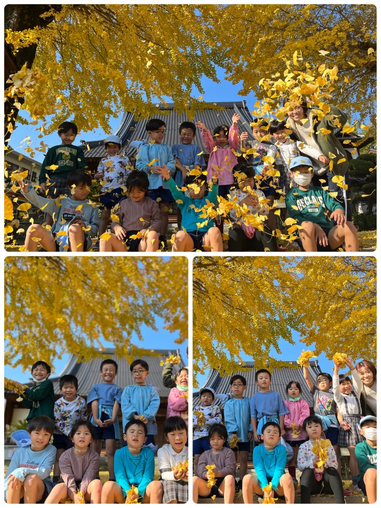 20231228180632.jpeg 20231228180632.jpeg