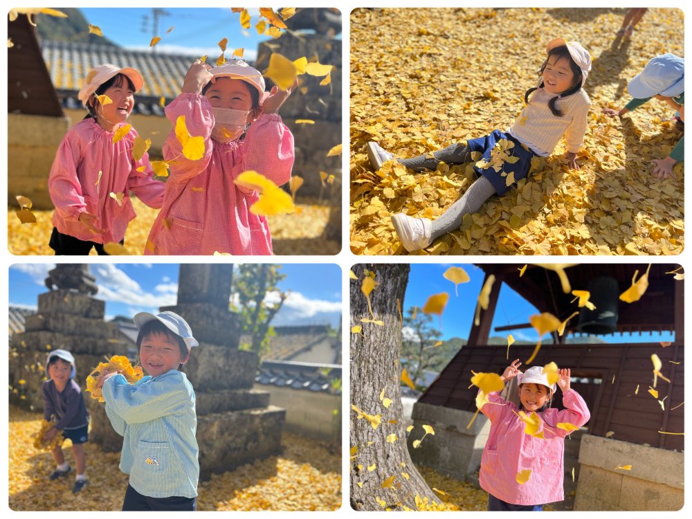 20231231221705.jpeg 20231231221705.jpeg