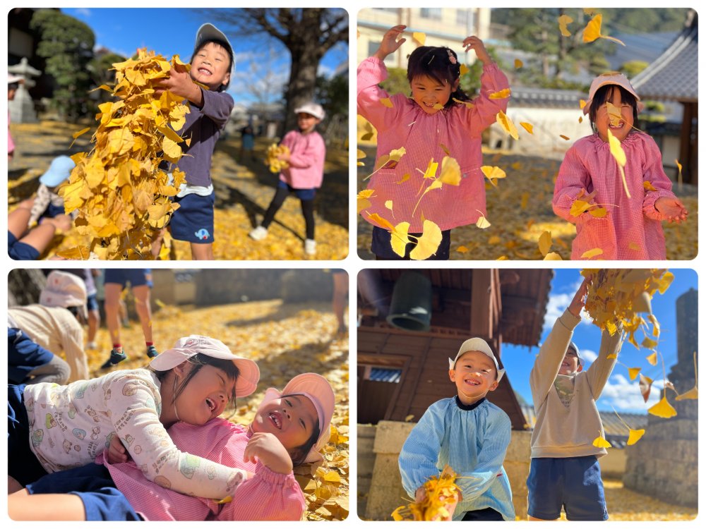 20231231221706.jpeg 20231231221706.jpeg