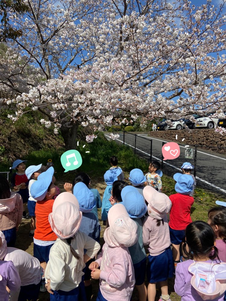 20240402223716.jpeg 20240402223716.jpeg