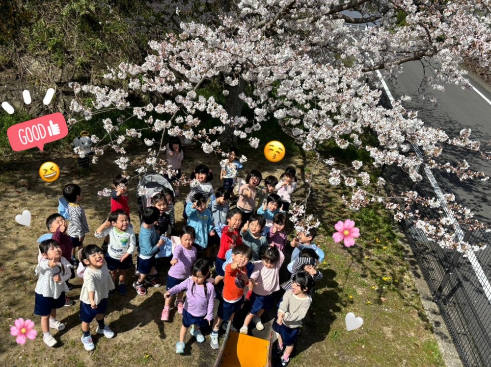 20240402223717.jpeg 20240402223717.jpeg